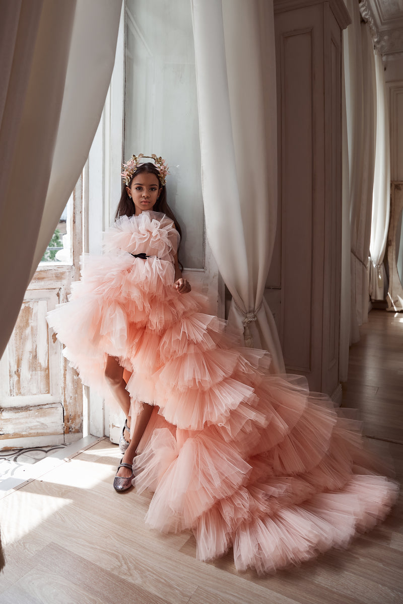 アンティーク雑貨 Vintage tutu dress with original rose