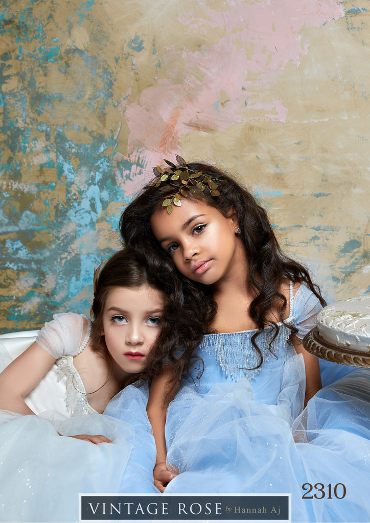 Cinderella Gown